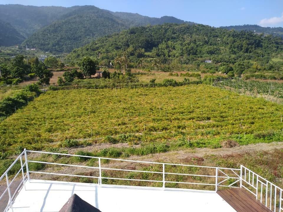Back To Real Hostel Taitung Экстерьер фото